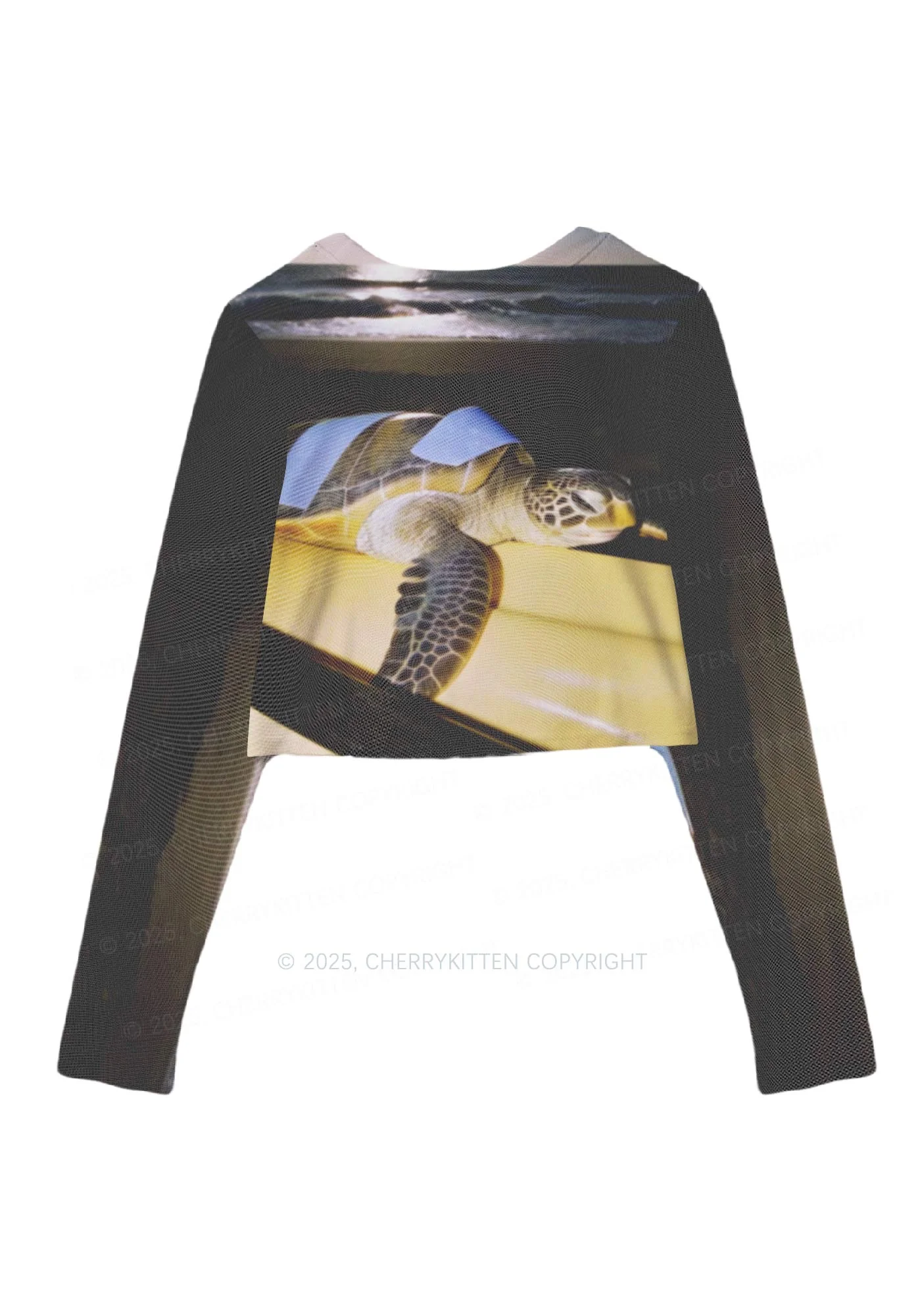 Turtle On Surfboard Y2K Mesh Long Sleeve Crop Top Cherrykitten - Image 3