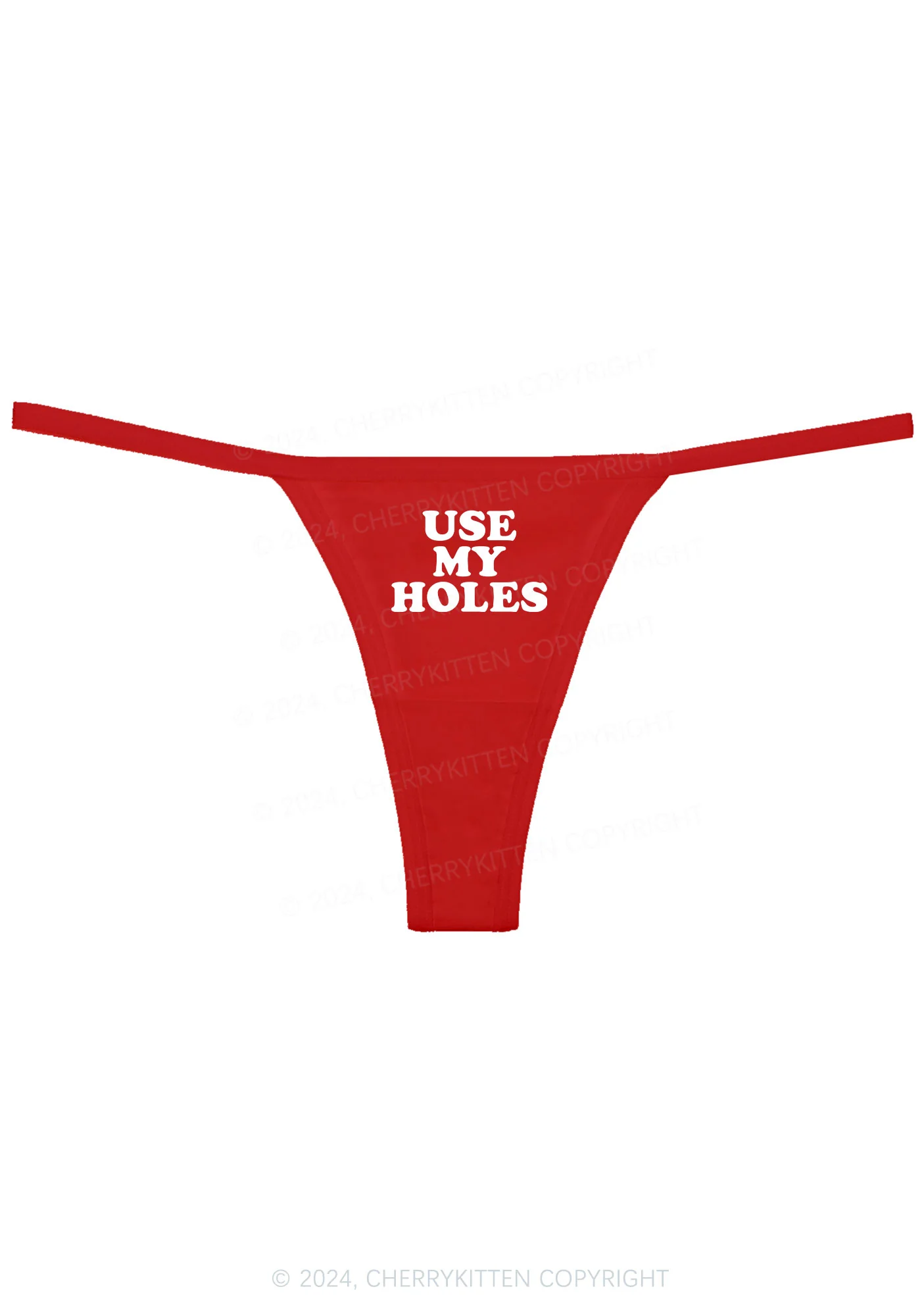 Use My Holes Y2K Flat String Thong Cherrykitten - Image 3