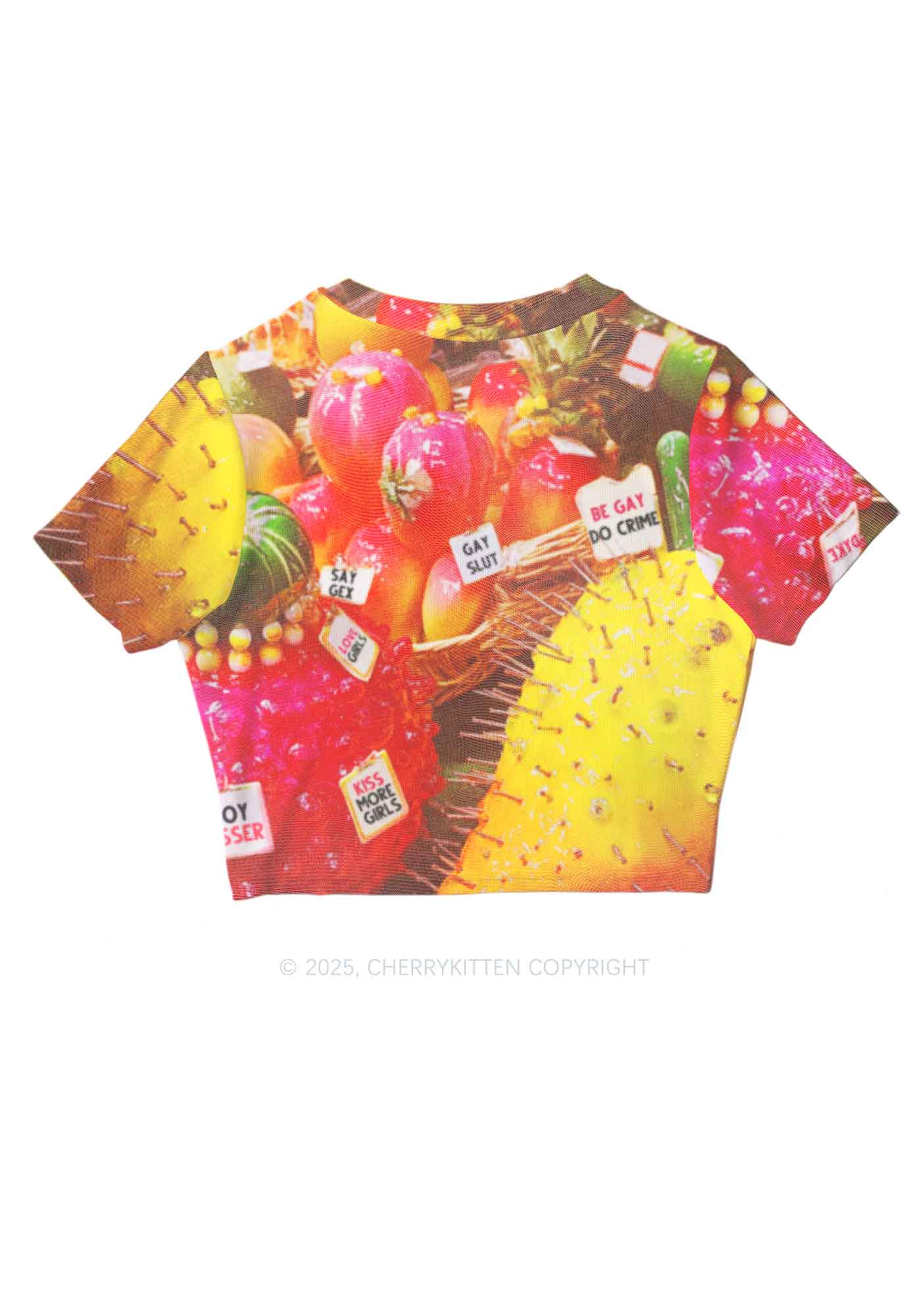 Various Fruits Pride Y2K Mesh Crop Top Cherrykitten - Image 3