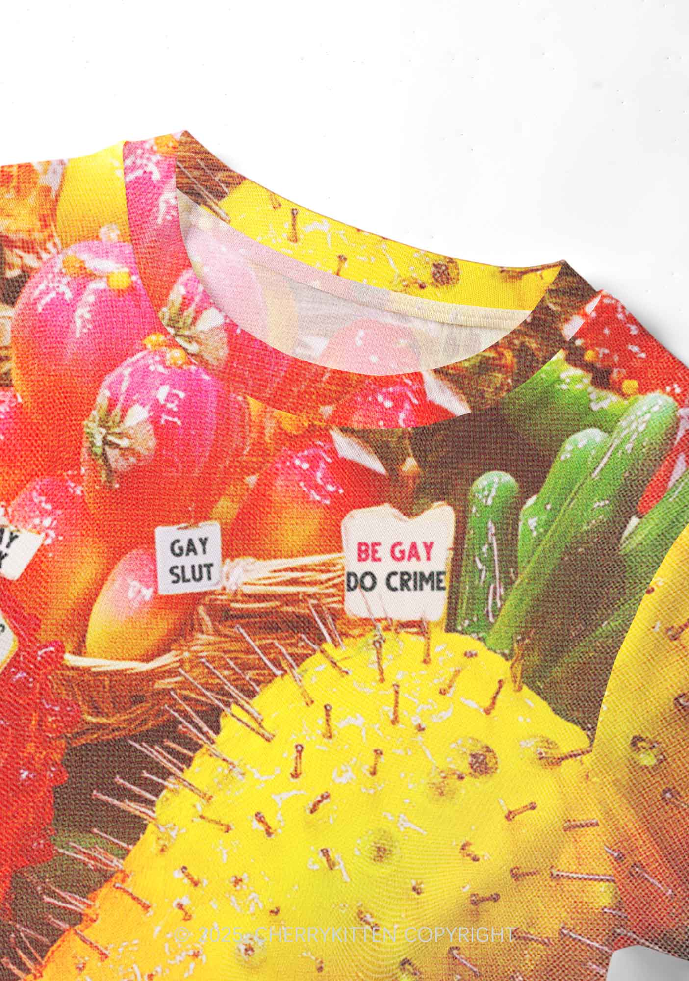 Various Fruits Pride Y2K Mesh Crop Top Cherrykitten - Image 4
