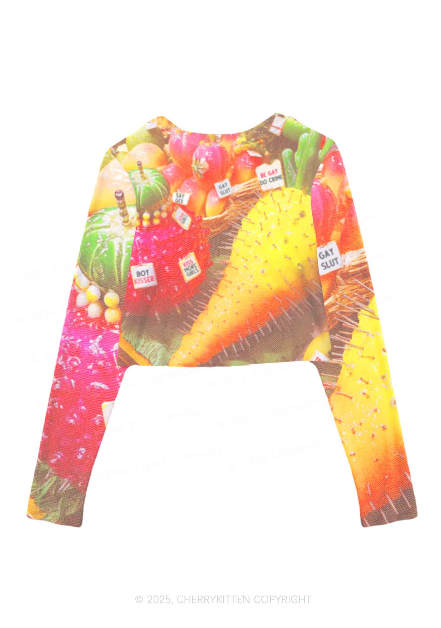 Various Fruits Pride Y2K Mesh Long Sleeve Crop Top Cherrykitten - Image 3