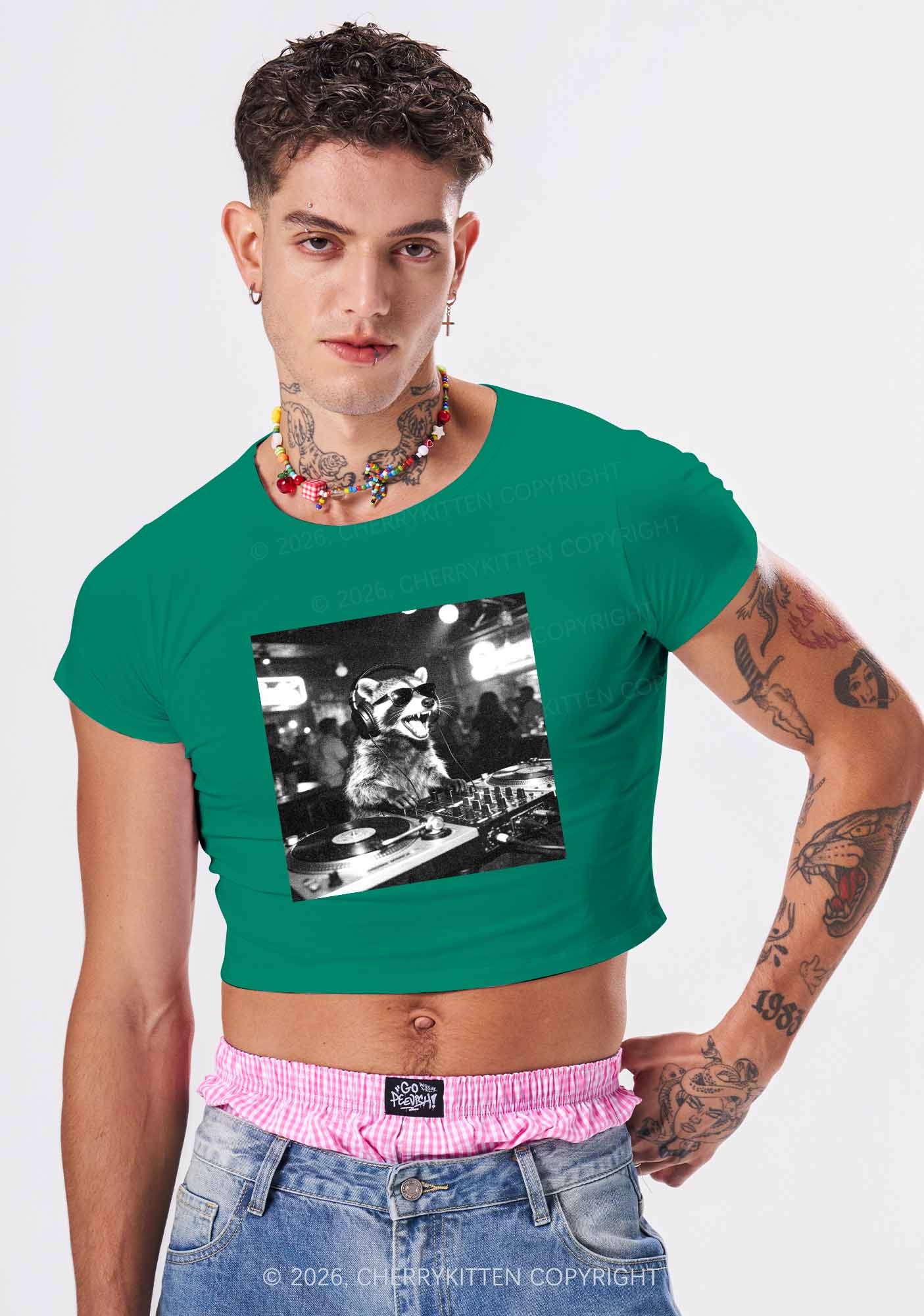 Vintage DJ Raccoon Y2K Baby Tee Cherrykitten - Image 2