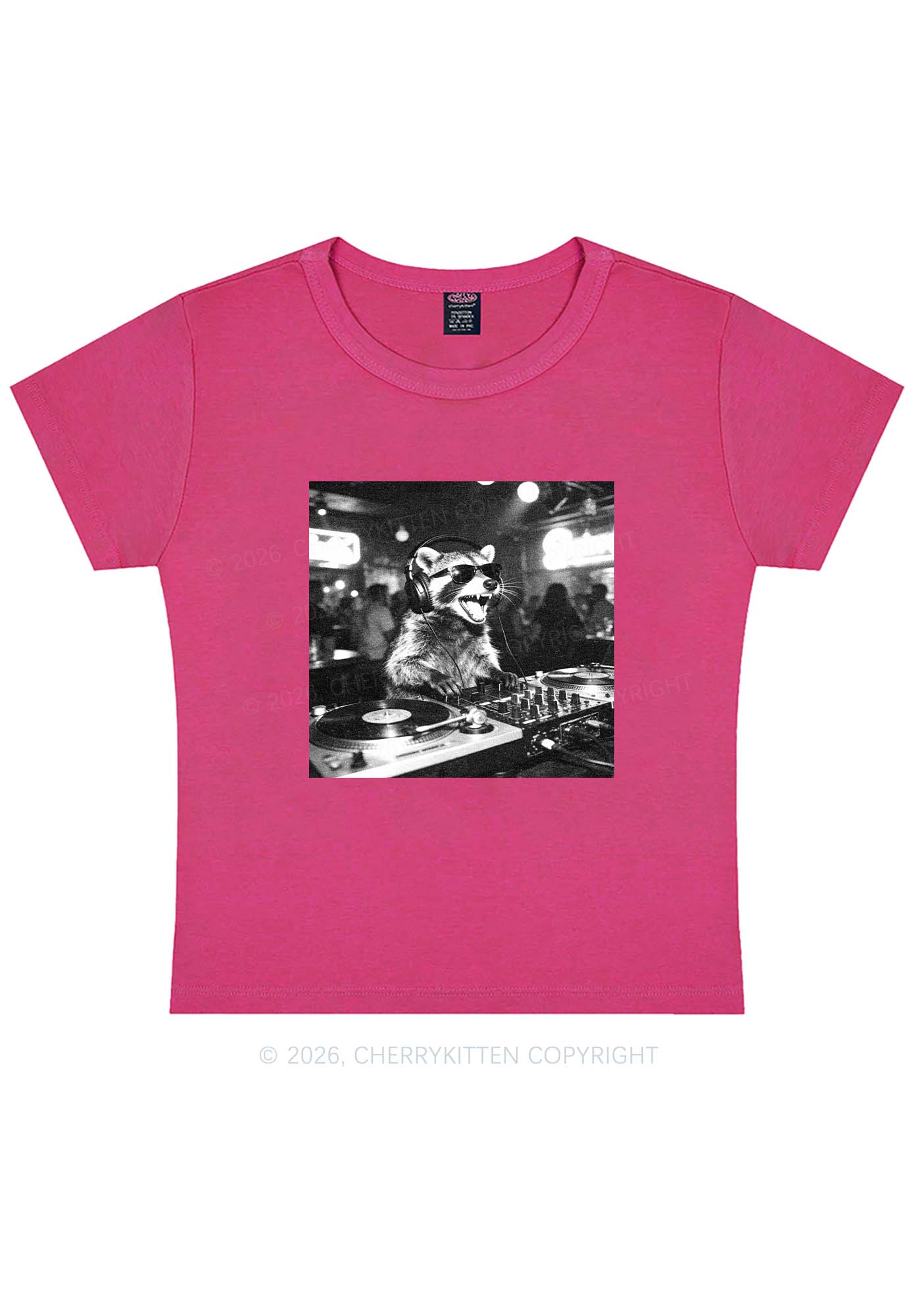 Vintage DJ Raccoon Y2K Baby Tee Cherrykitten - Image 5