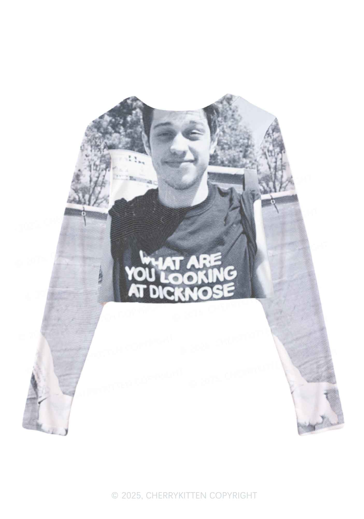 What Are You Looking At Y2K Mesh Long Sleeve Crop Top Cherrykitten - Image 2