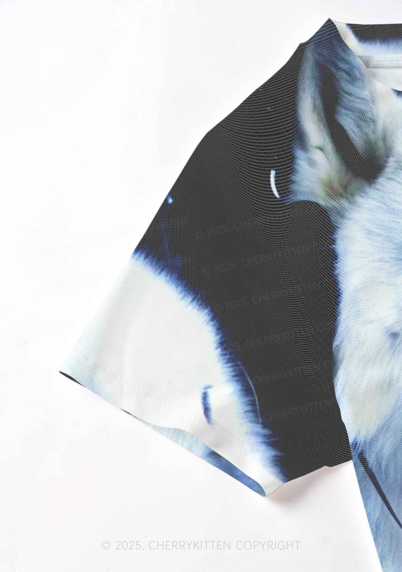White Wolf Y2K Mesh Crop Top Cherrykitten - Image 4