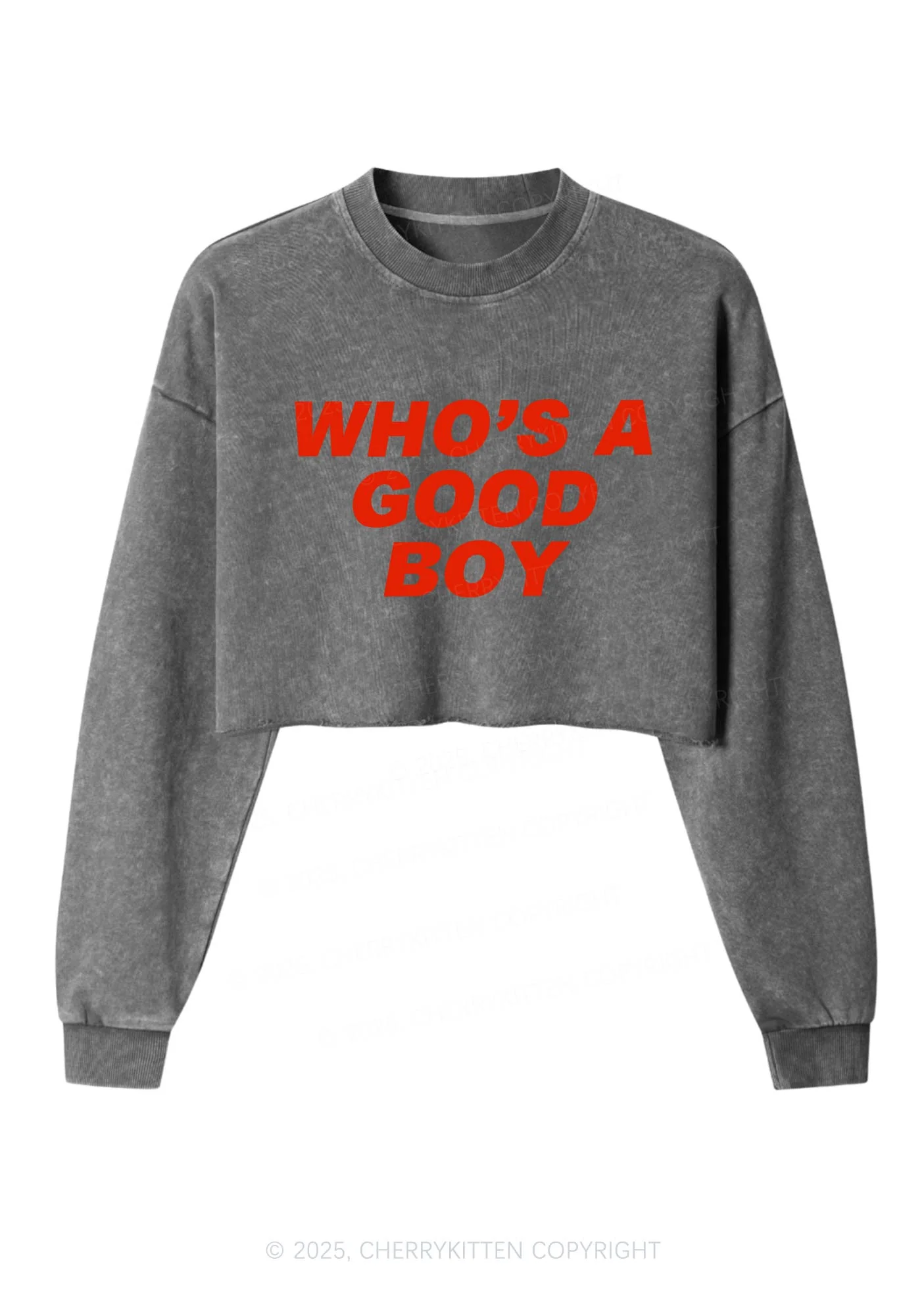 Whos A Good Boy Y2K Crop Washed Sweatshirts Cherrykitten - Image 3