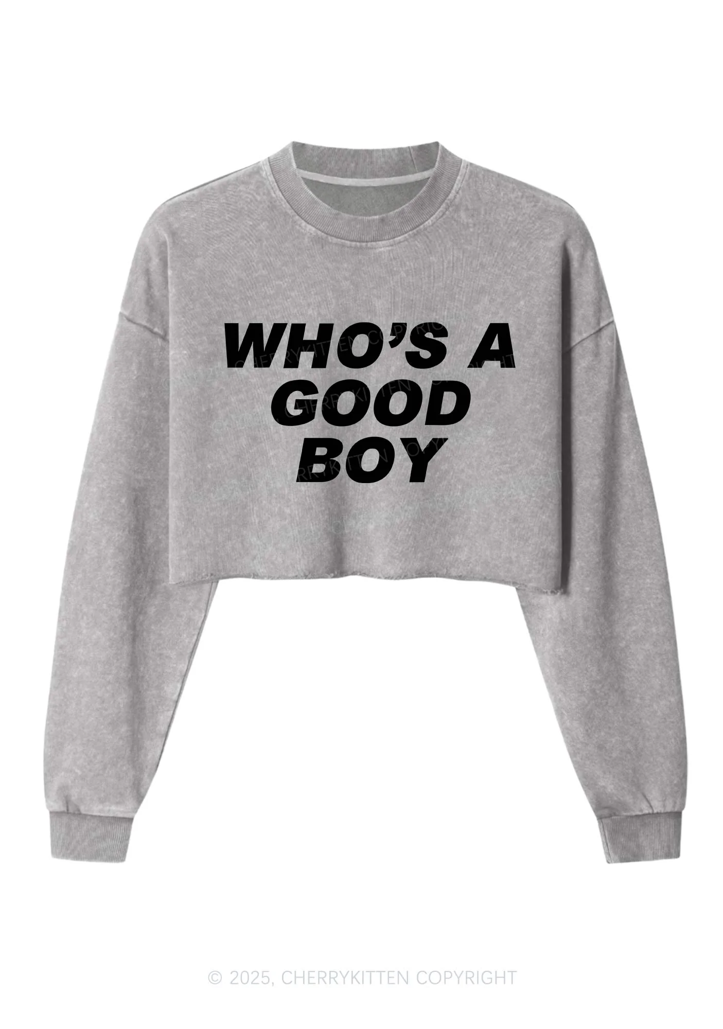 Whos A Good Boy Y2K Crop Washed Sweatshirts Cherrykitten - Image 4