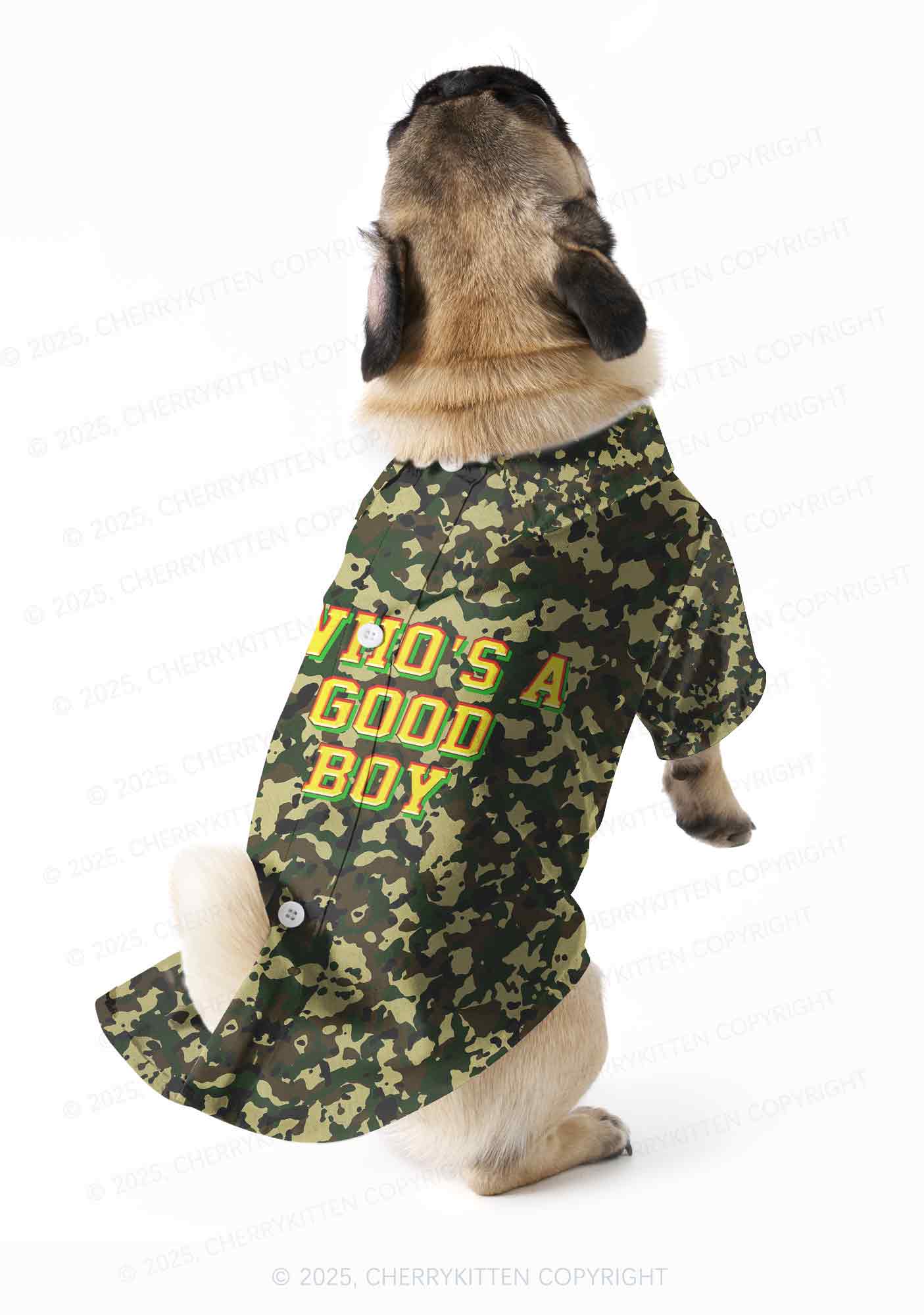 Whos A Good Boy Y2K Pet Shirts Cherrykitten - Image 2