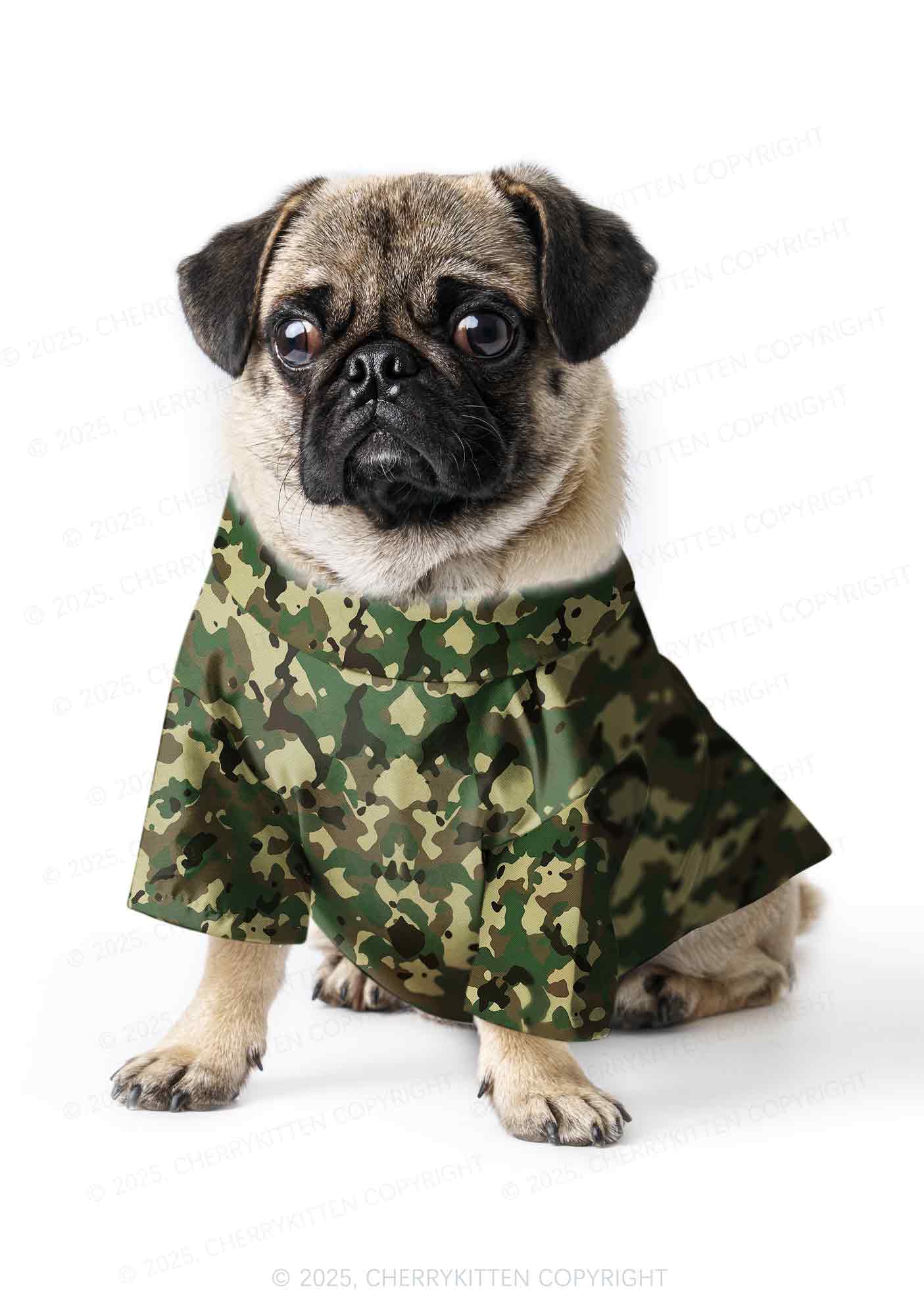Whos A Good Boy Y2K Pet Shirts Cherrykitten - Image 3