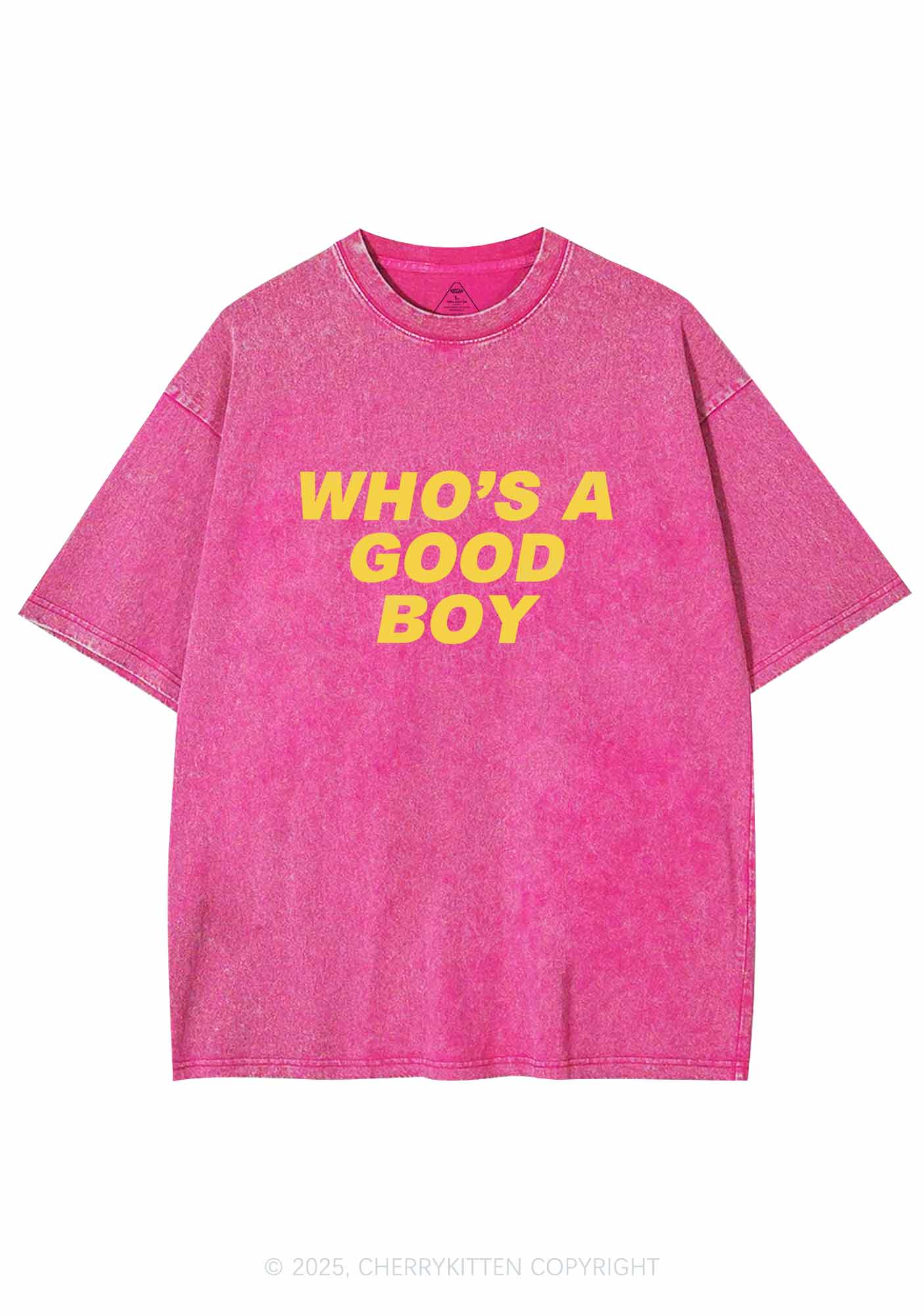 Who's A Good Boy Y2K Washed Tee Cherrykitten - Image 4