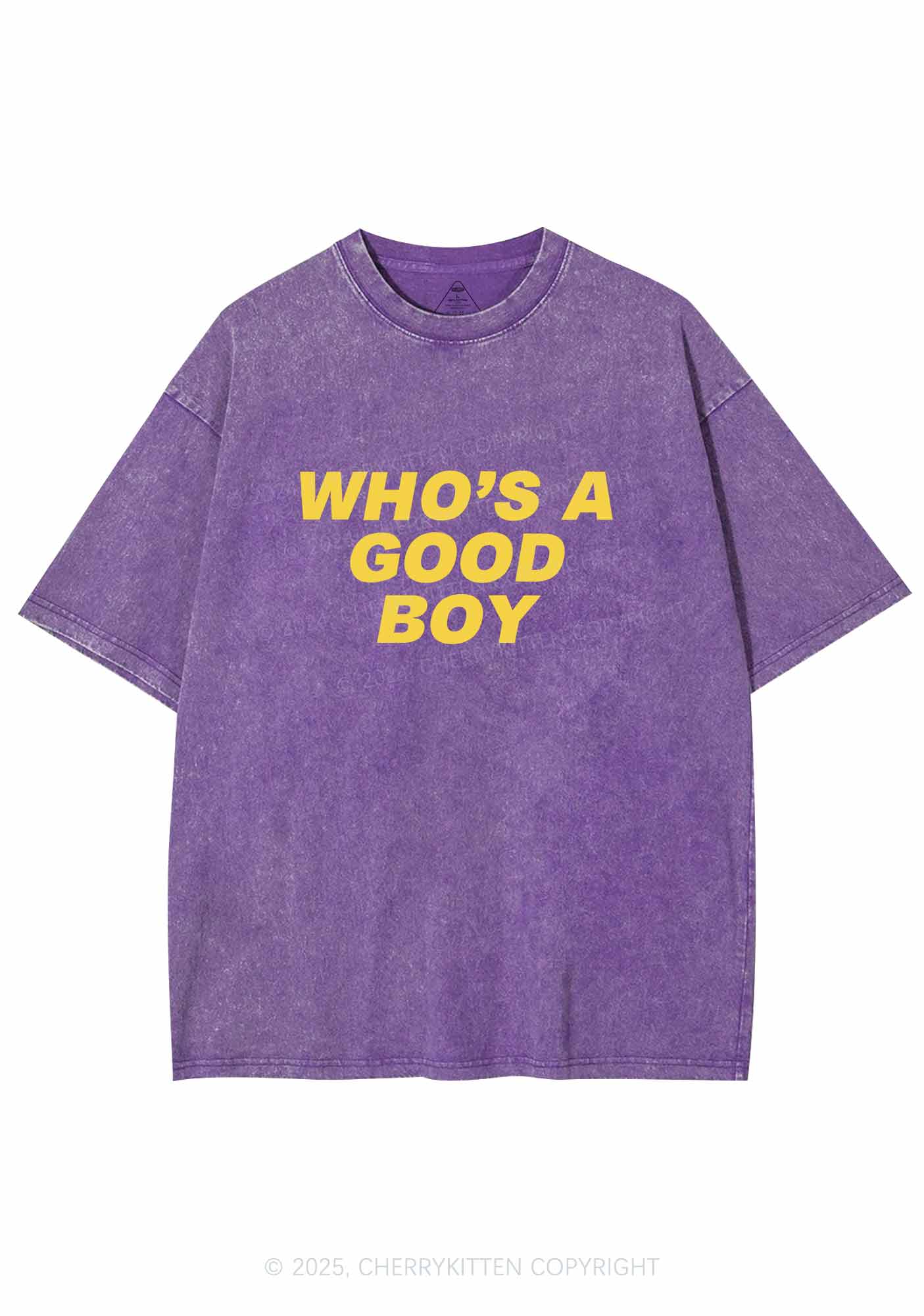 Who's A Good Boy Y2K Washed Tee Cherrykitten - Image 5