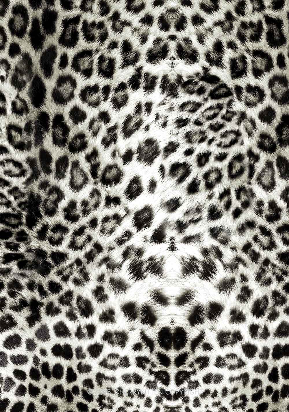 Wild Leopard Y2K Print Mini Skirt Cherrykitten - Image 5