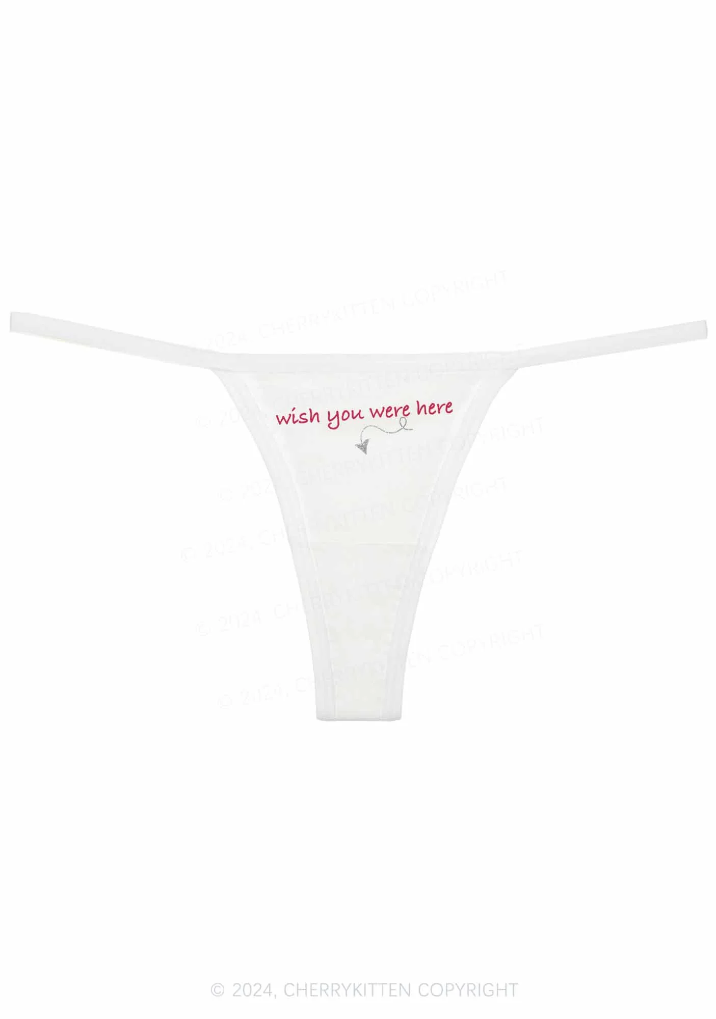Wish You Were Here Y2K Flat String Thong Cherrykitten - Image 4