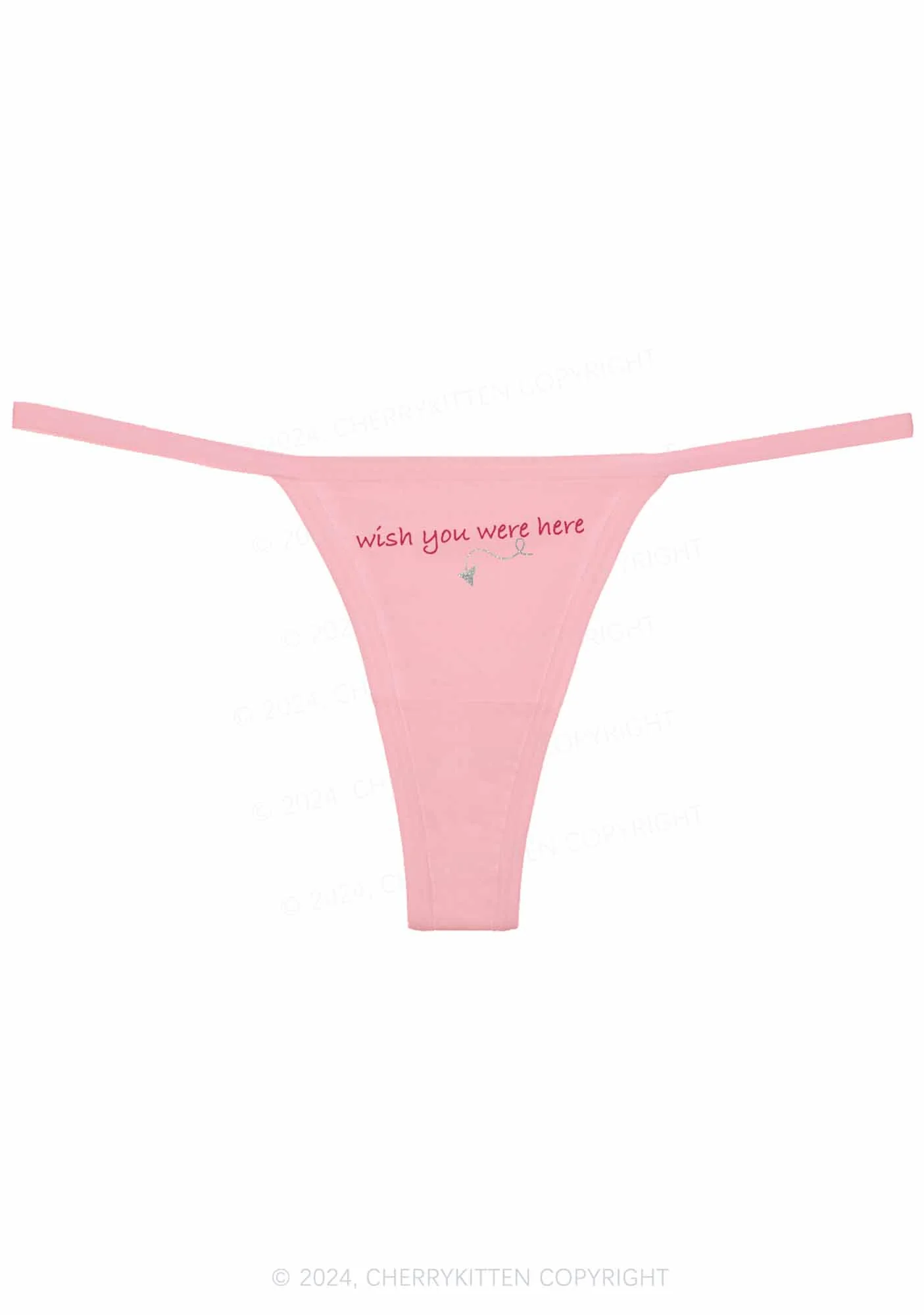 Wish You Were Here Y2K Flat String Thong Cherrykitten - Image 6