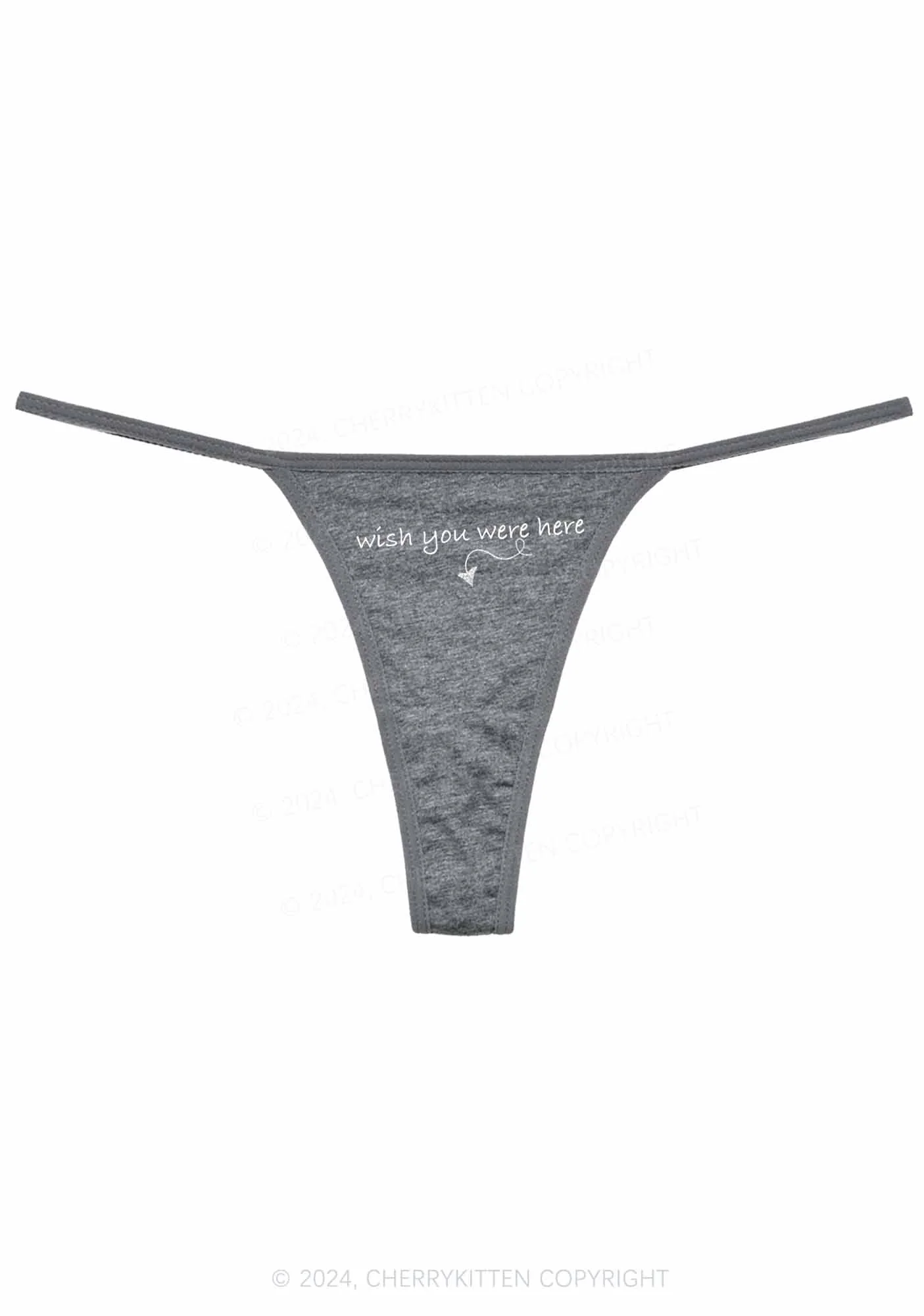 Wish You Were Here Y2K Flat String Thong Cherrykitten - Image 7