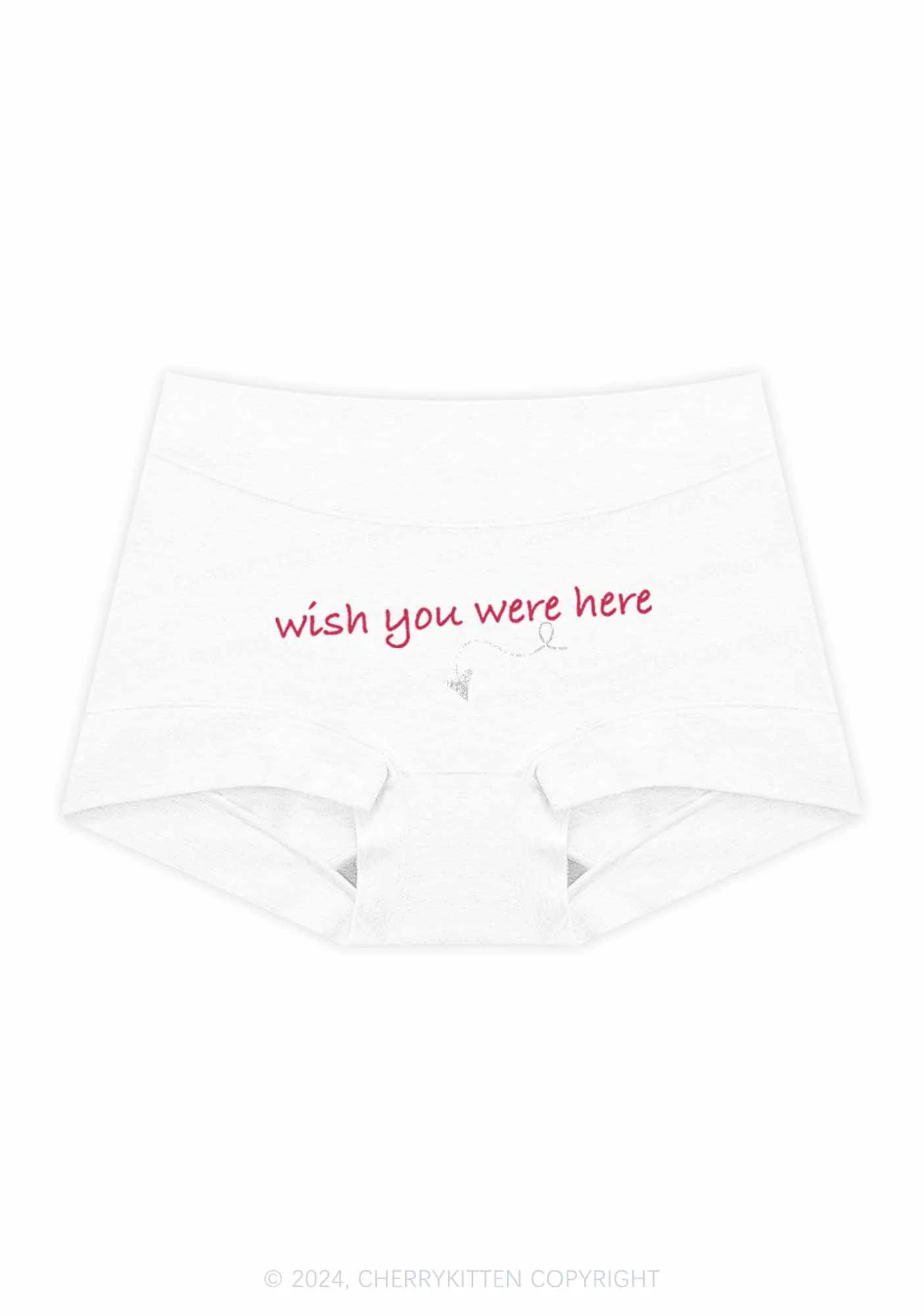 Wish You Were Here Y2K Mid Rise Waist Boyshort Cherrykitten - Image 4