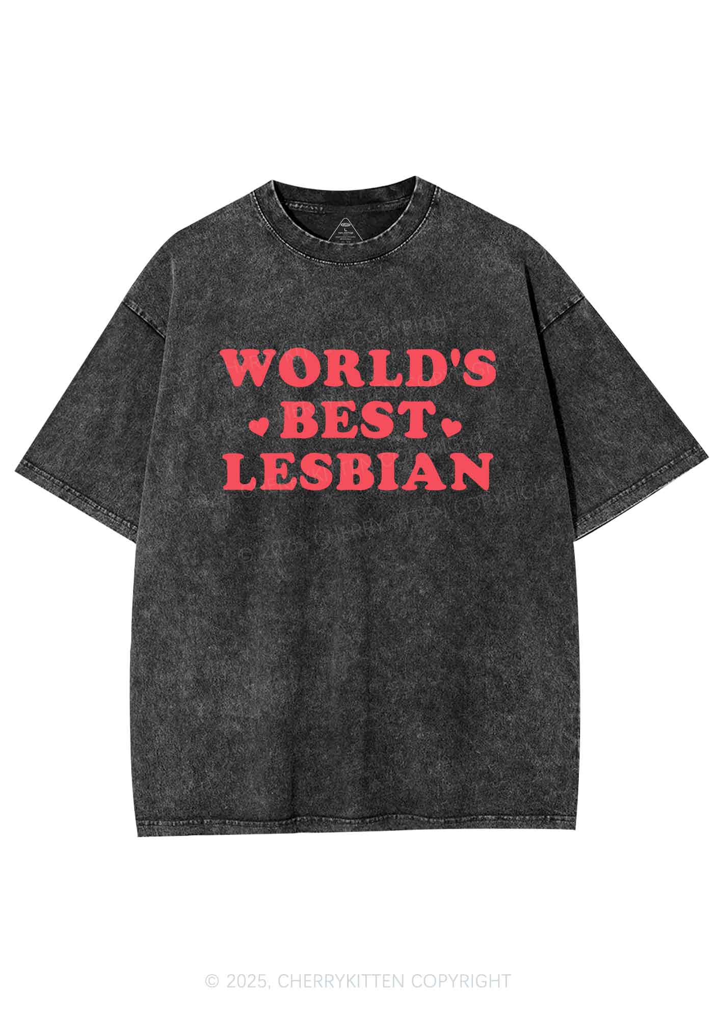 World's Best Lesbian Y2K Shirts Washed Tee Cherrykitten - Image 3