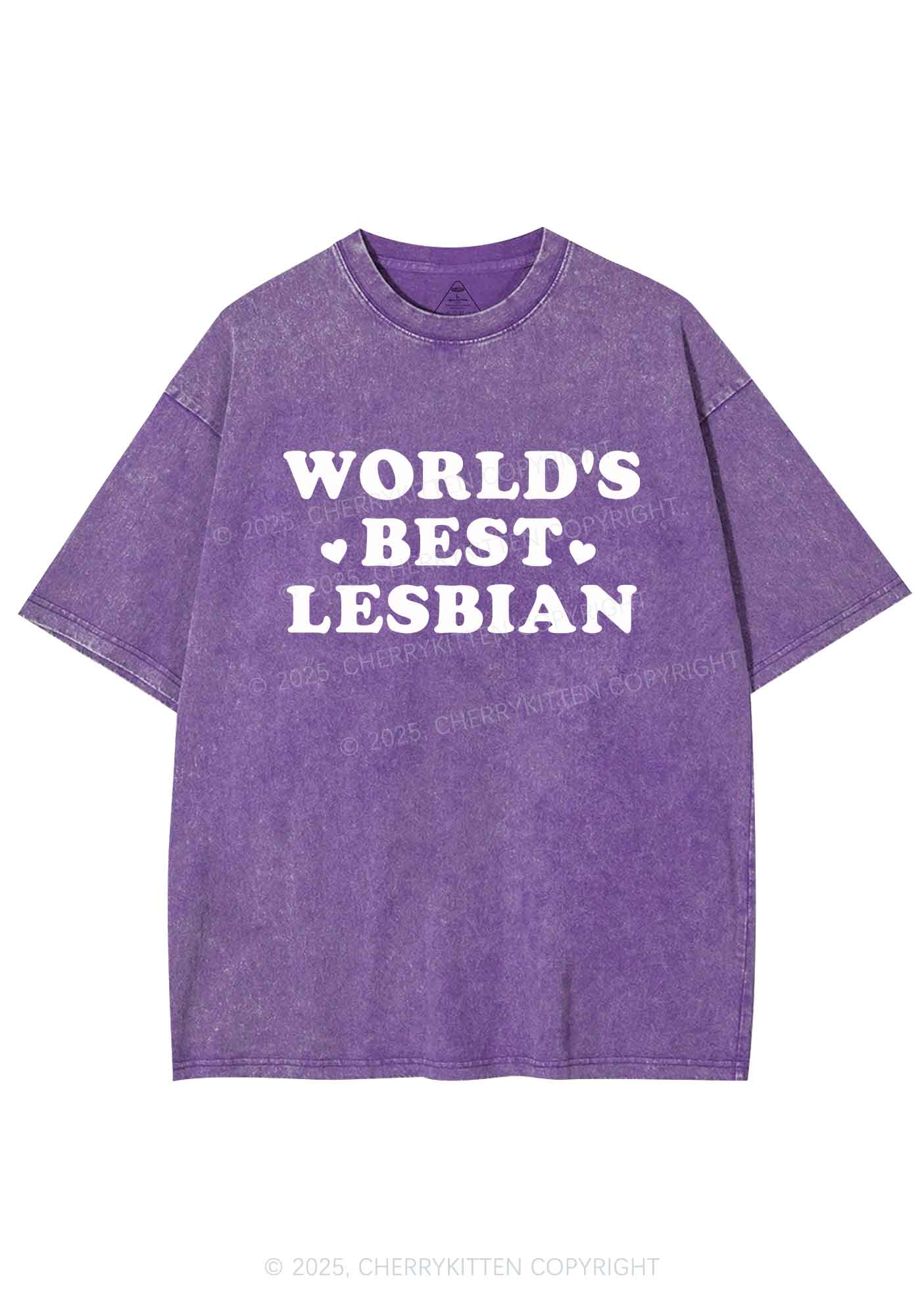 World's Best Lesbian Y2K Shirts Washed Tee Cherrykitten - Image 5