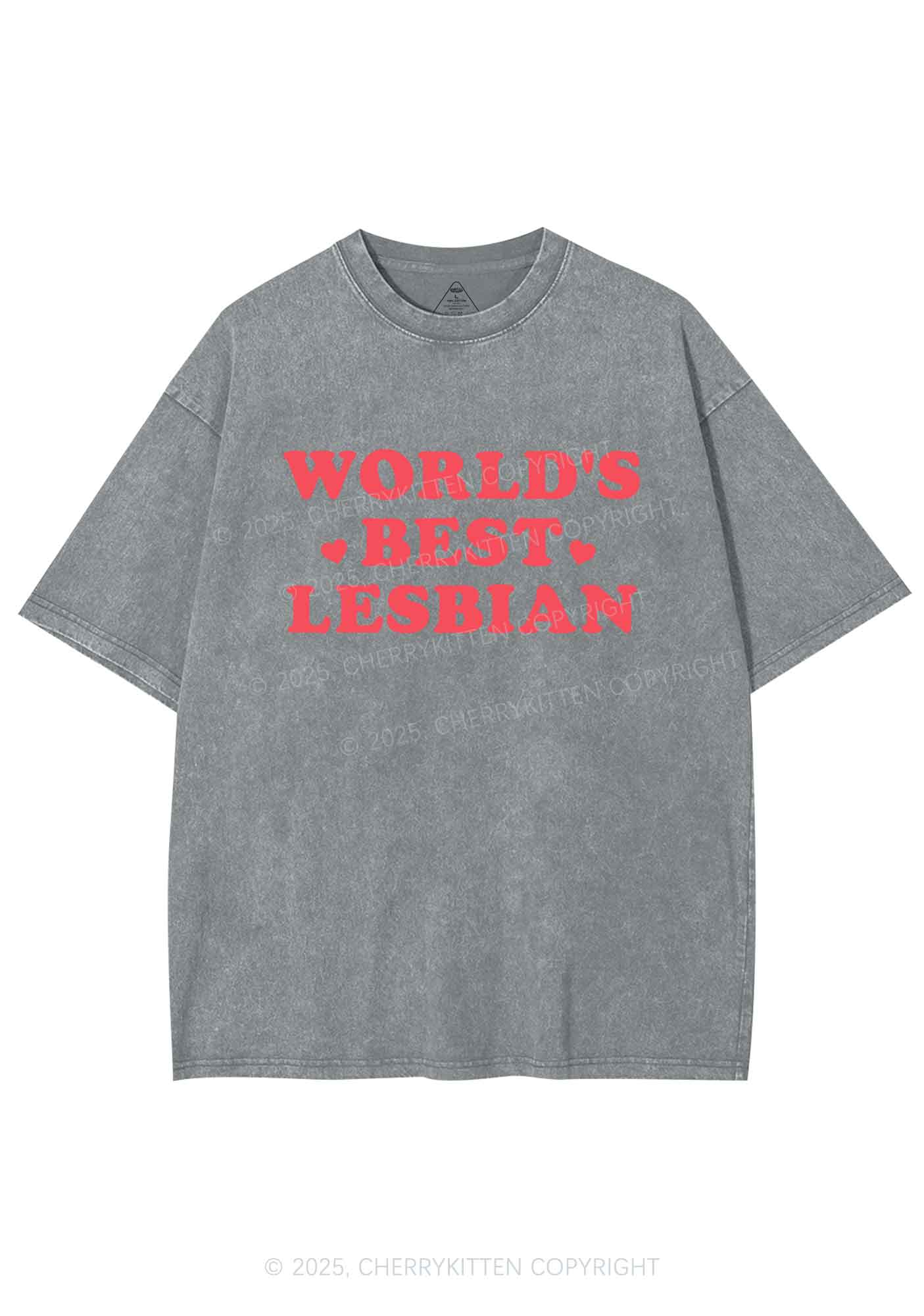 World's Best Lesbian Y2K Shirts Washed Tee Cherrykitten - Image 6