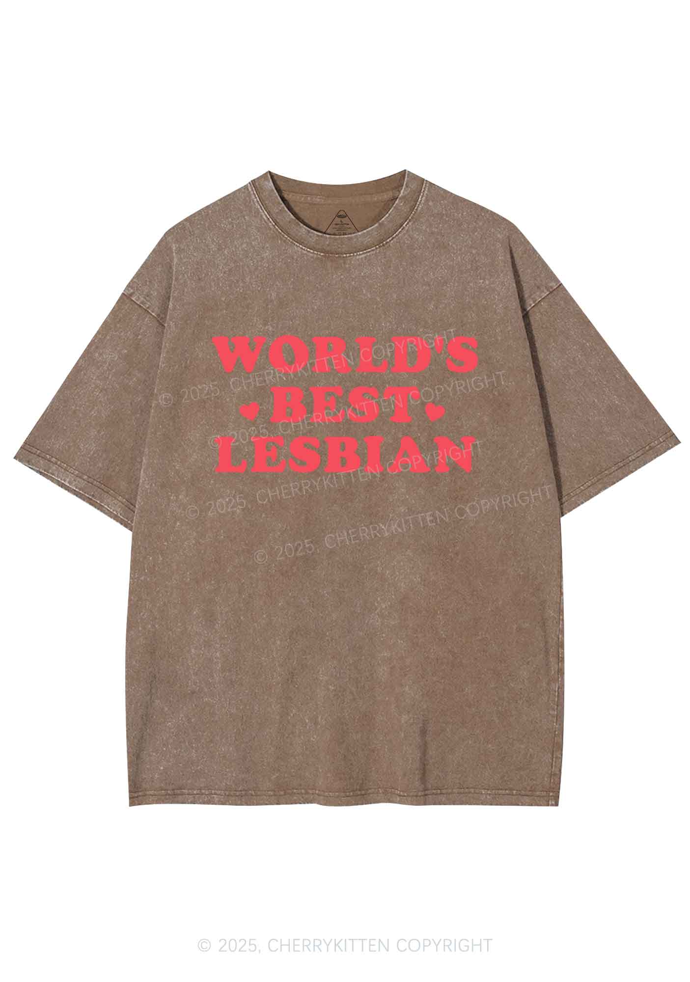 World's Best Lesbian Y2K Shirts Washed Tee Cherrykitten - Image 7