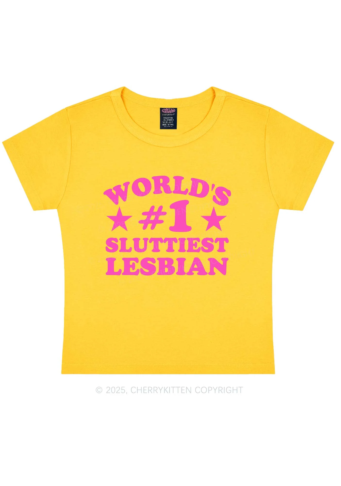 Worlds First Slxttiest Lesbian Pride Y2K Baby Tee Cherrykitten - Image 6