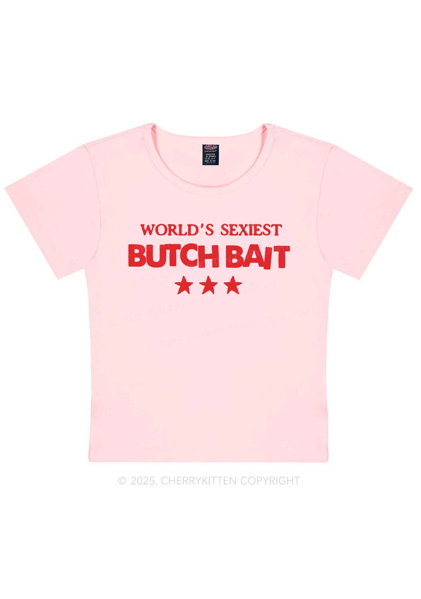 Worlds Sexiest Butch Bait Pride Y2K Baby Tee Cherrykitten - Image 12