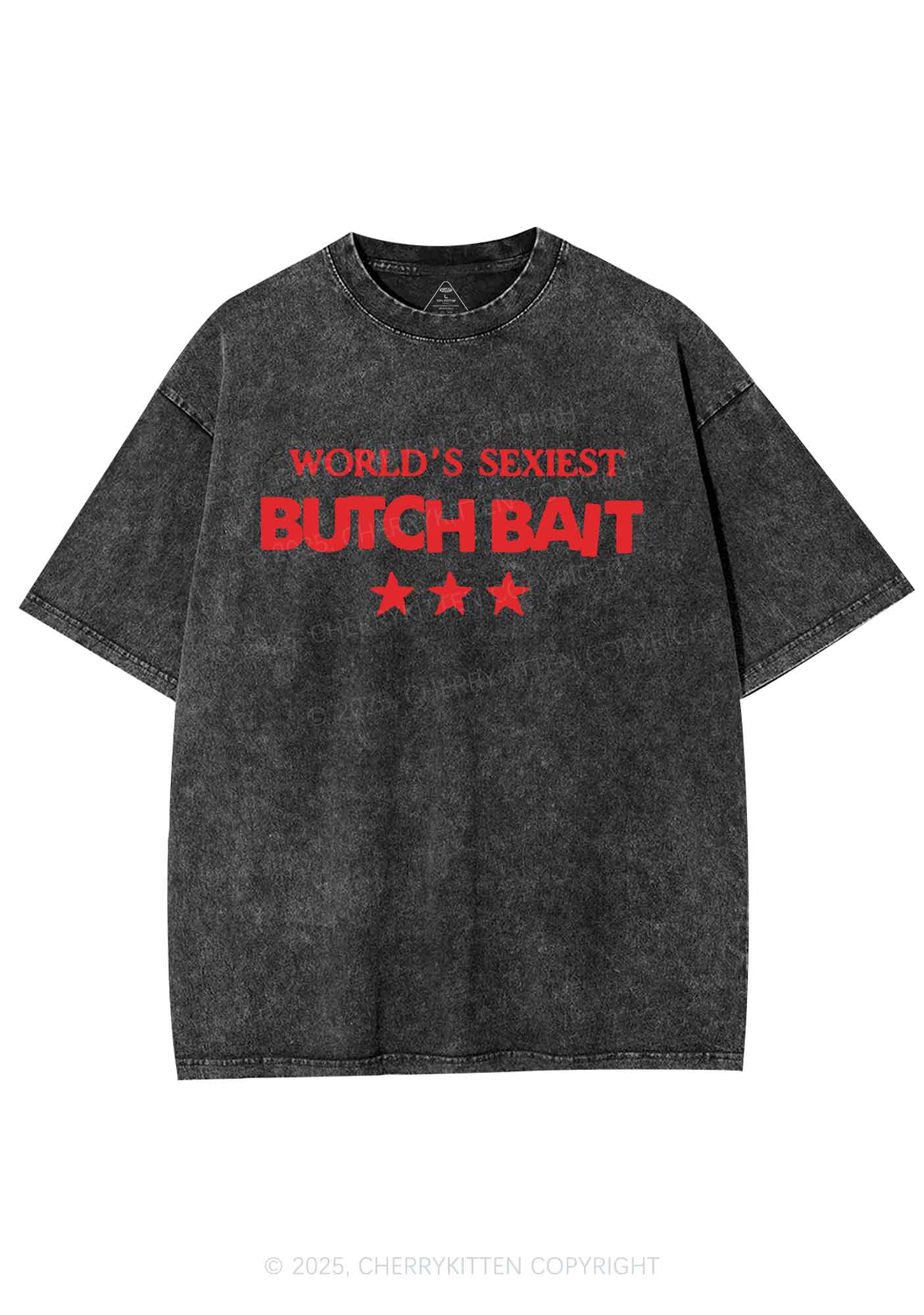 Worlds Sexiest Butch Bait Pride Y2K Shirts Washed Tee Cherrykitten - Image 3