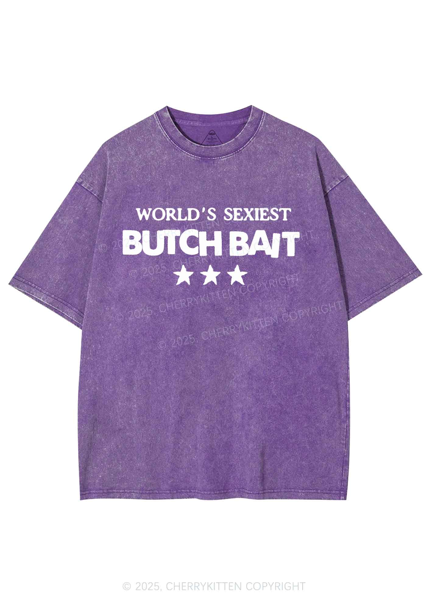 Worlds Sexiest Butch Bait Pride Y2K Shirts Washed Tee Cherrykitten - Image 5