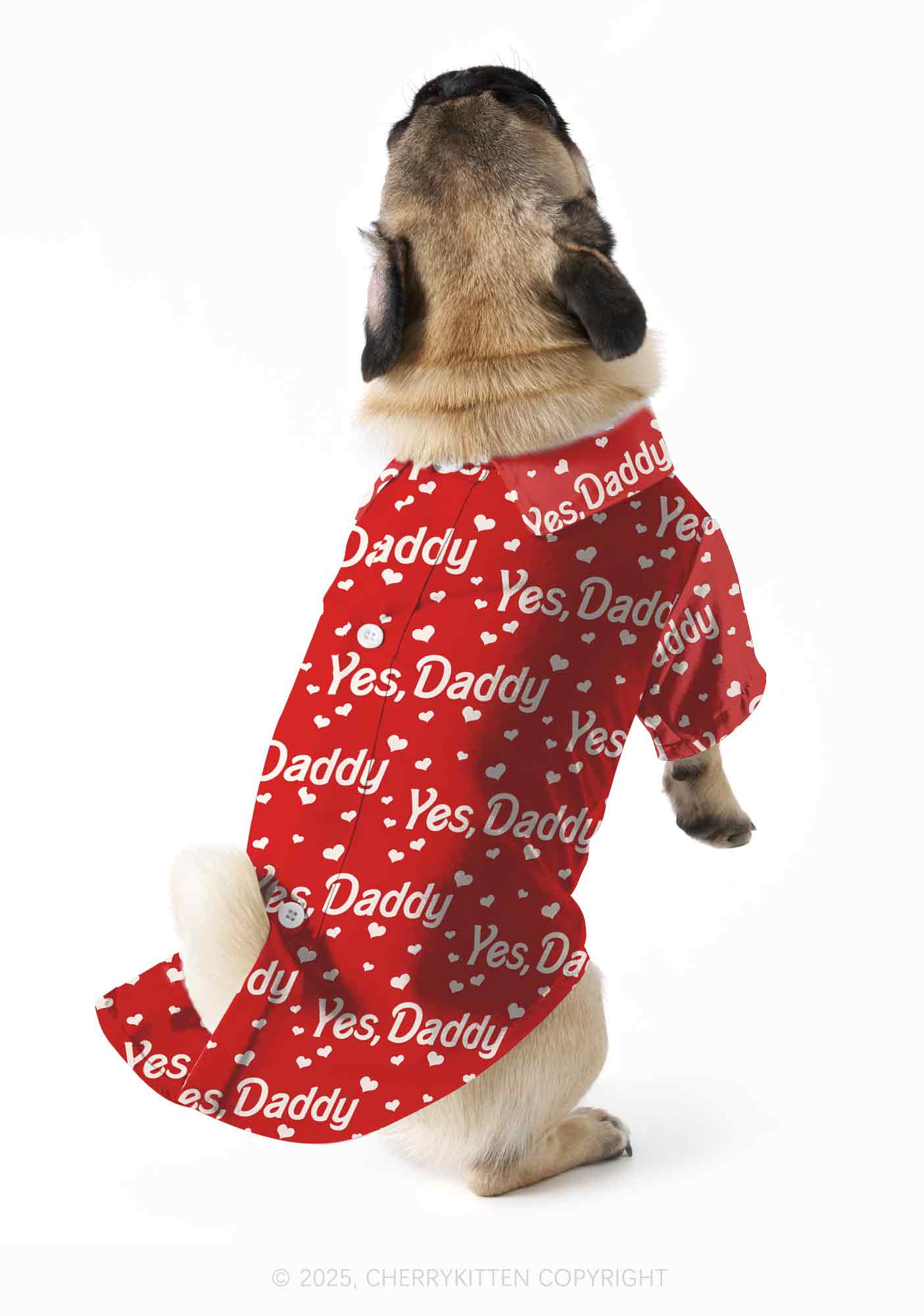 Yes Daddy Y2K Pet Shirts Cherrykitten - Image 2