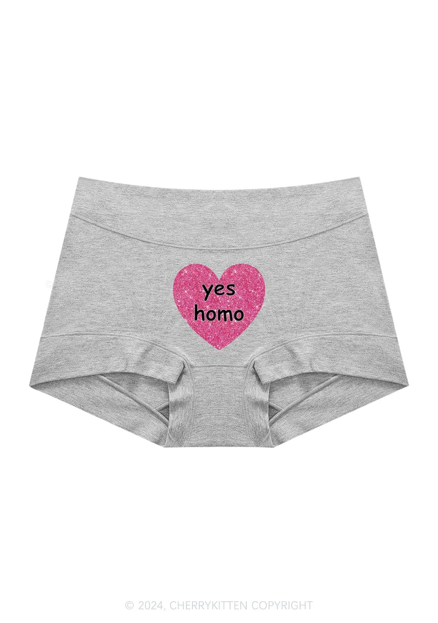 Yes Homo Y2K Mid Rise Waist Boyshort Cherrykitten - Image 4
