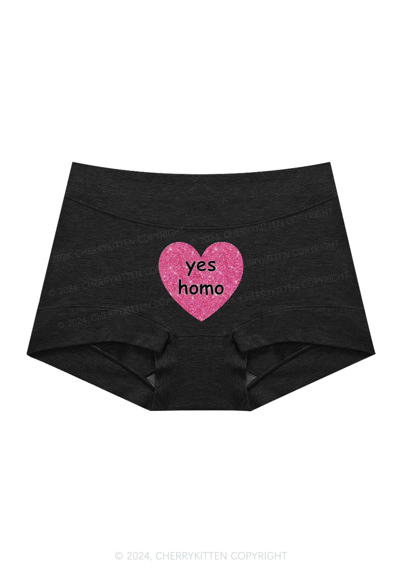 Yes Homo Y2K Mid Rise Waist Boyshort Cherrykitten - Image 5