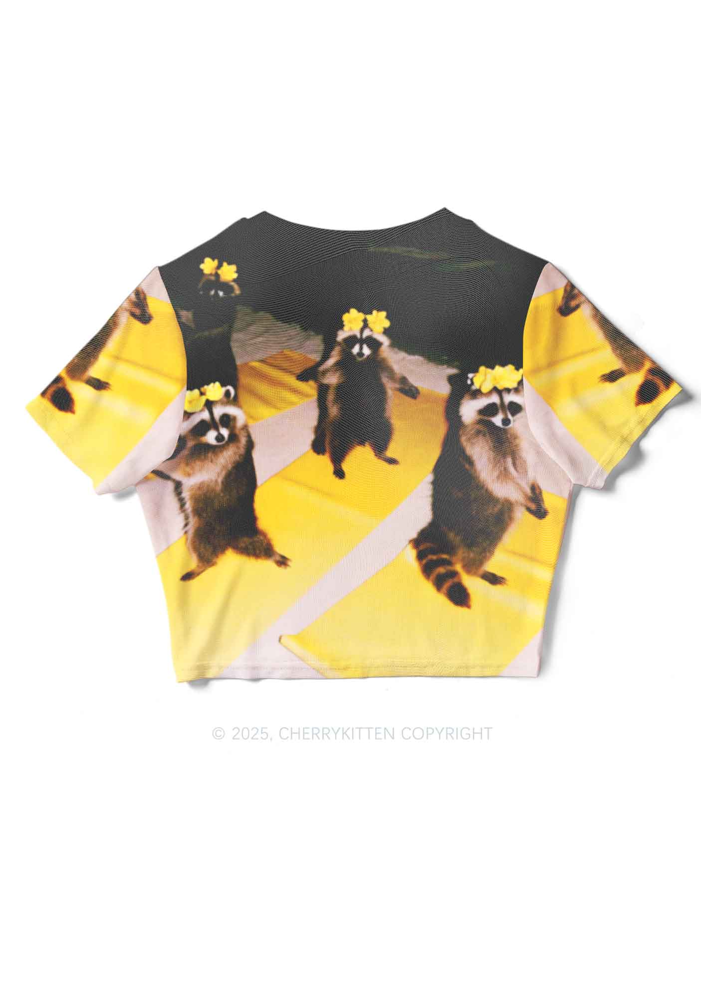 Yoga Raccoon Y2K Mesh Crop Top Cherrykitten - Image 4