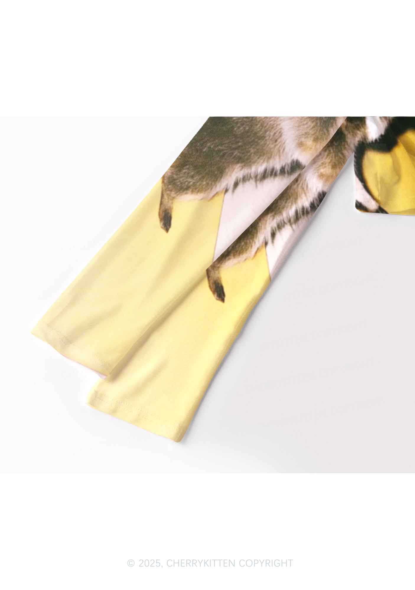 Yoga Raccoon Y2K Mesh Long Sleeve Crop Top Cherrykitten - Image 3