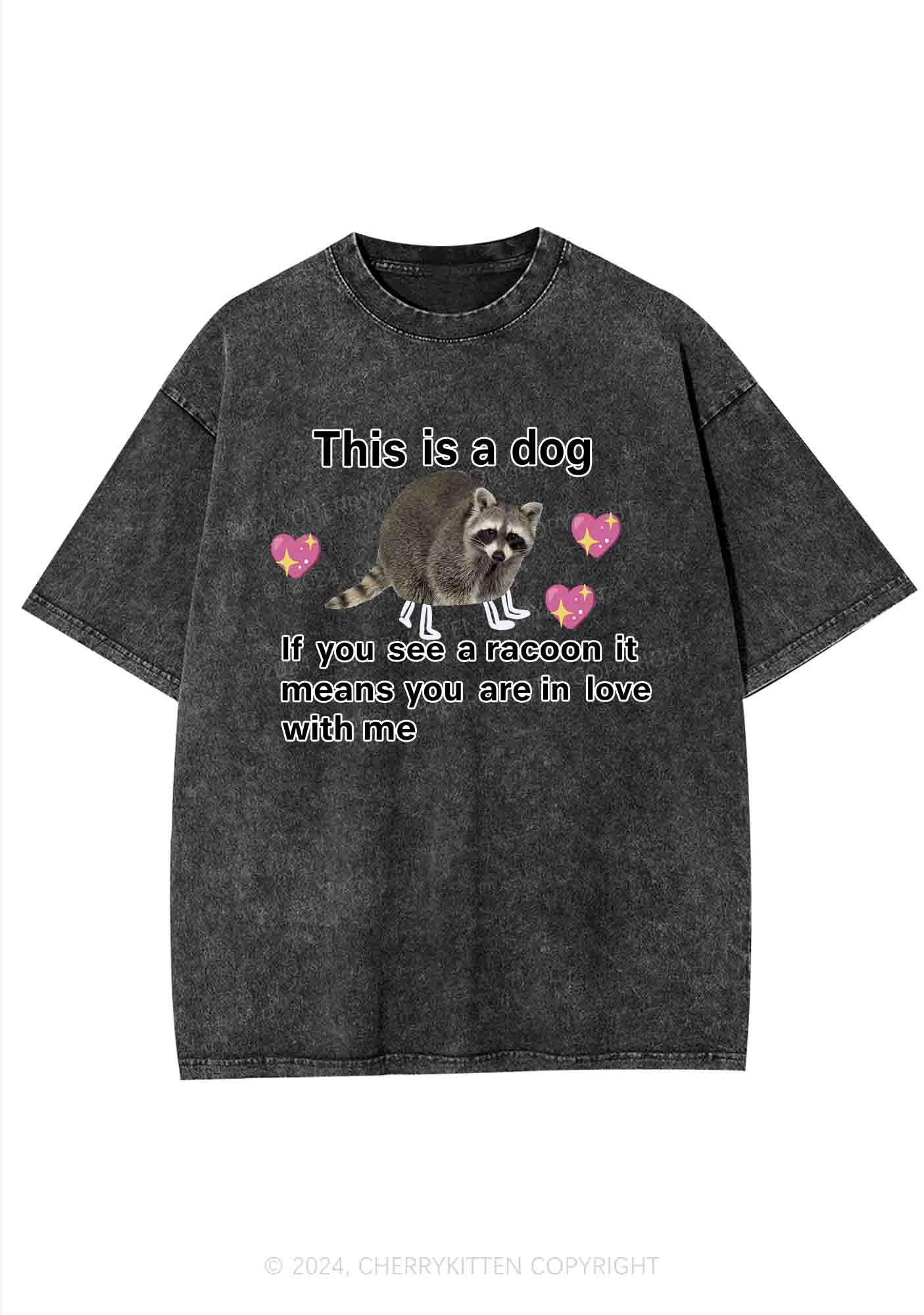 You Are In Love With Me Y2K Washed Tee Cherrykitten - Image 4