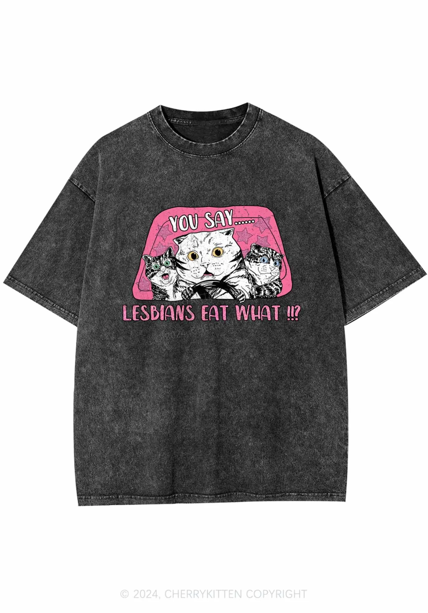 You Say Lesbians Eat What Y2K Washed Tee Cherrykitten - Image 3