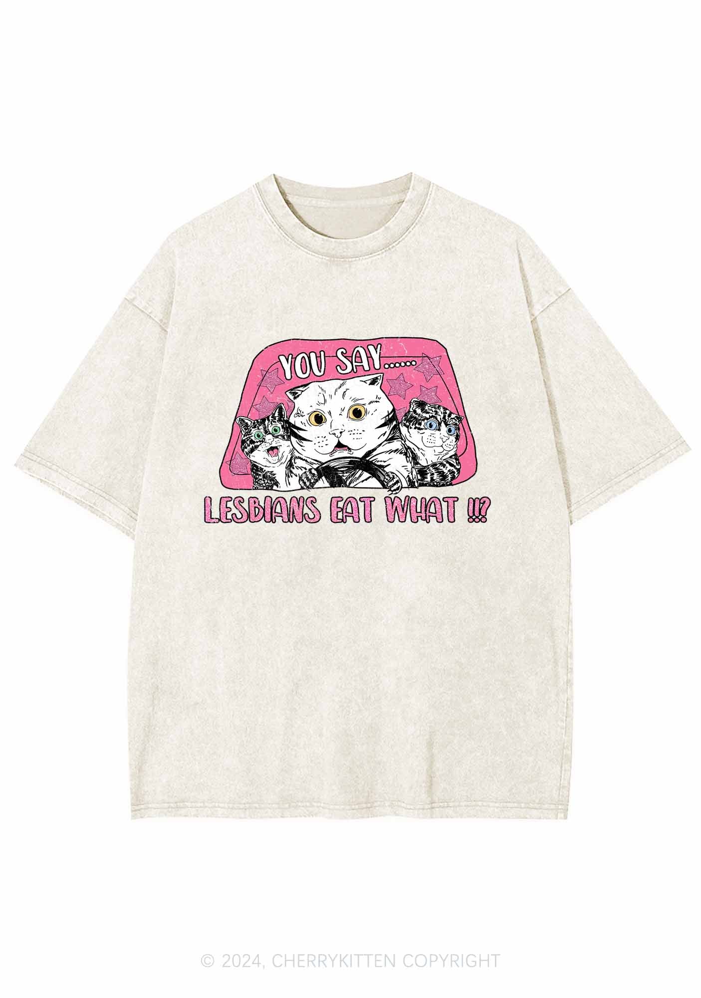 You Say Lesbians Eat What Y2K Washed Tee Cherrykitten - Image 4