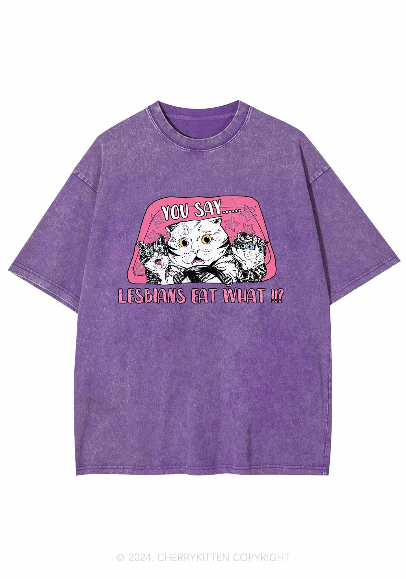 You Say Lesbians Eat What Y2K Washed Tee Cherrykitten - Image 5