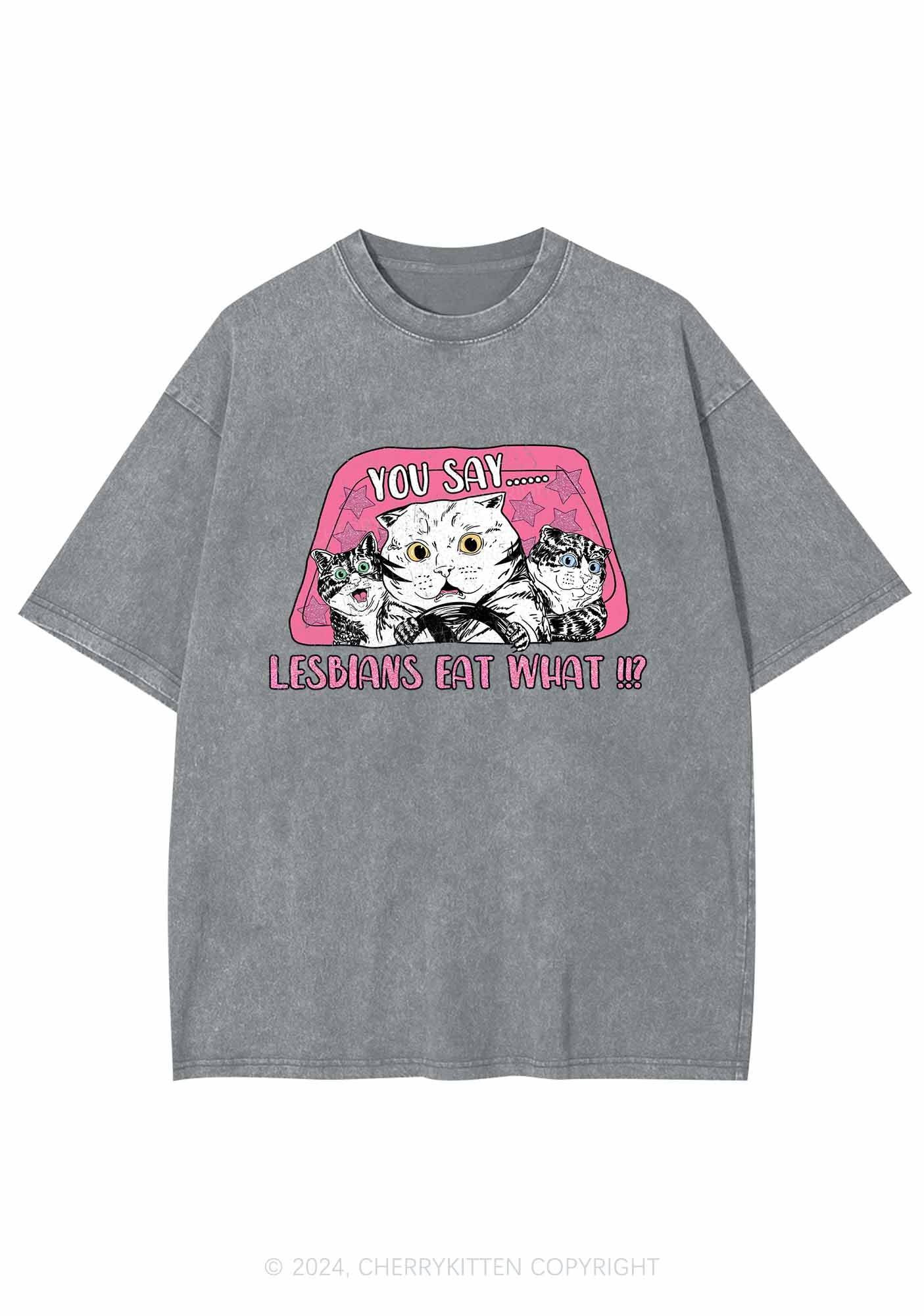 You Say Lesbians Eat What Y2K Washed Tee Cherrykitten - Image 6
