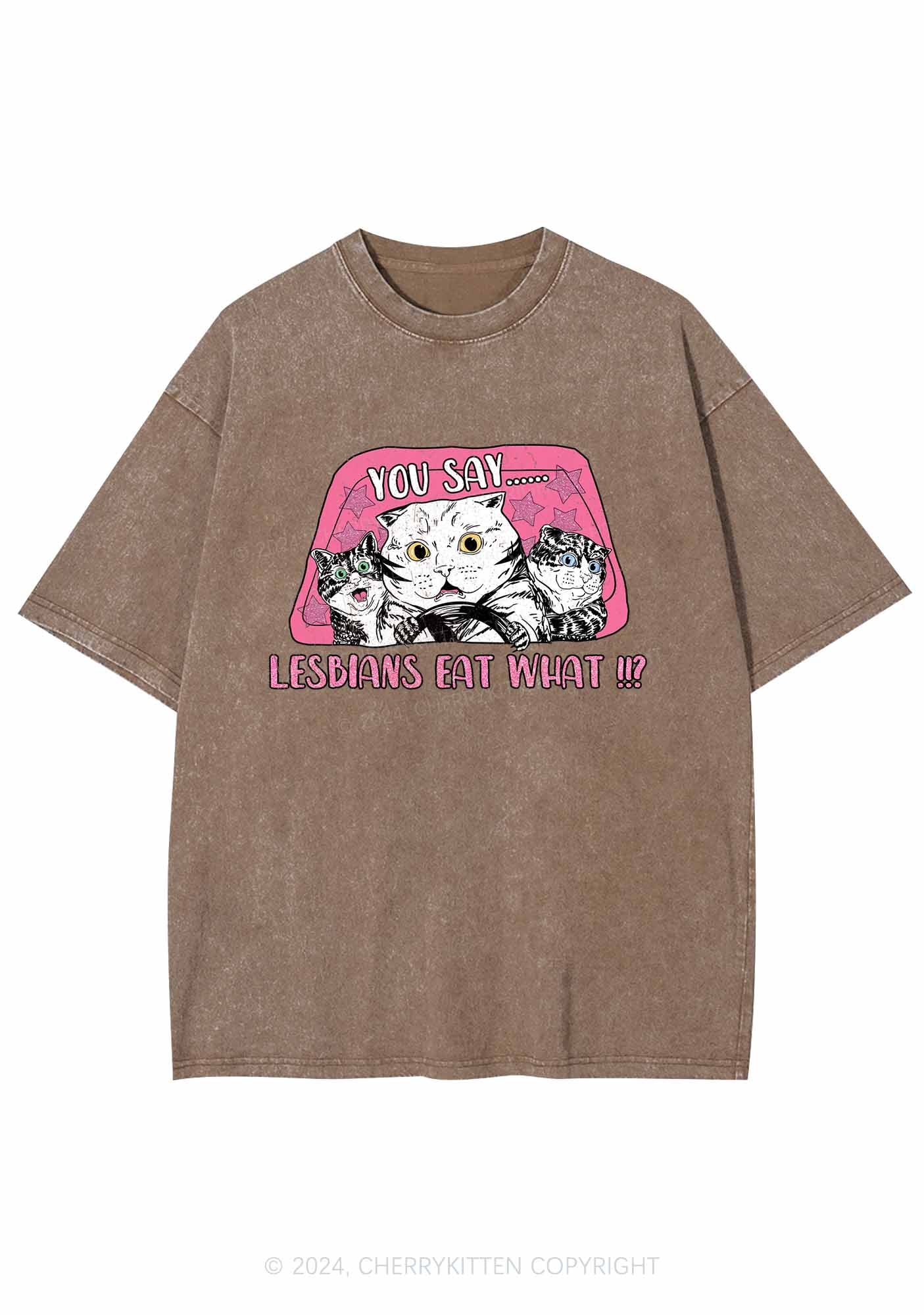 You Say Lesbians Eat What Y2K Washed Tee Cherrykitten - Image 7